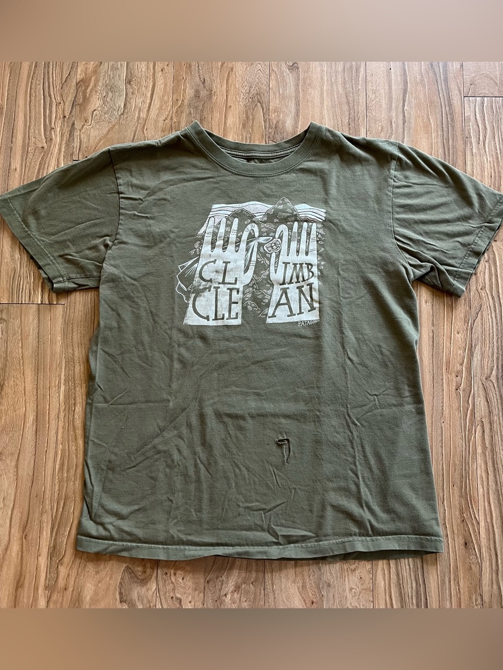 Patagonia Clean Climb organic cotton t-shirt
